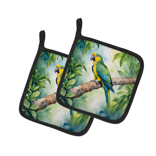 Buy this Yellownaped Amazon Parrot Pair of Pot Holders