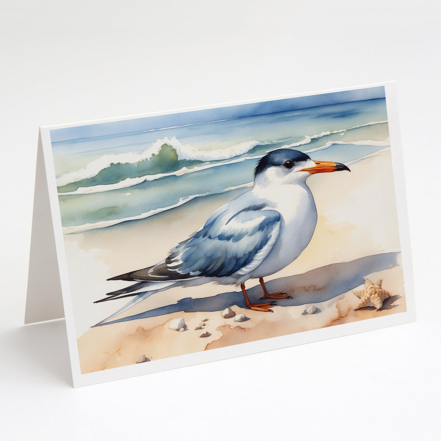 Buy this Tern Resting Greeting Cards Pack of 8