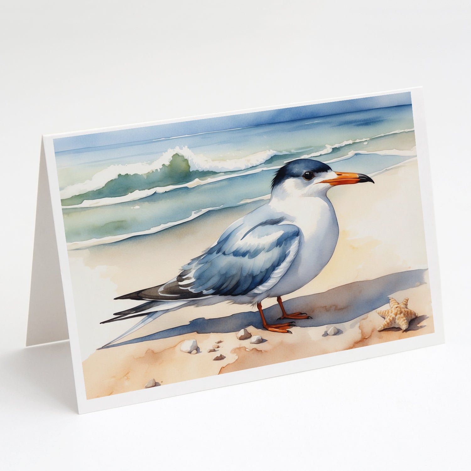 Buy this Tern Resting Greeting Cards Pack of 8