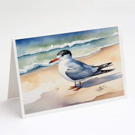 Buy this Tern Resting Greeting Cards Pack of 8